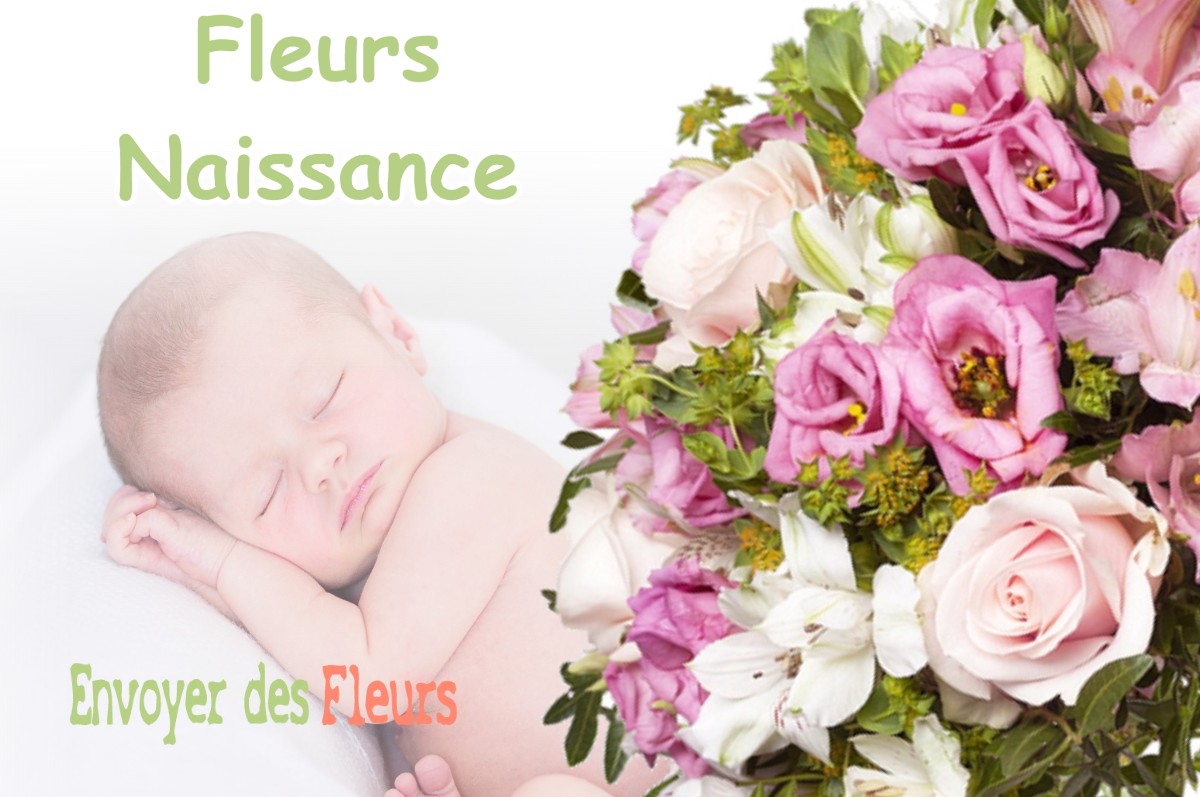 lIVRAISON FLEURS NAISSANCE à GREDISANS